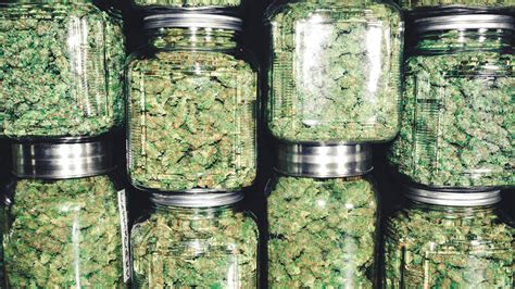 Unveiling Santa Cruz's Cannabis Charms: The Magic of Aweed